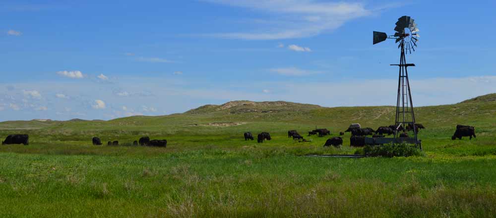 Nebraska College of Technical Agriculture in Curtis